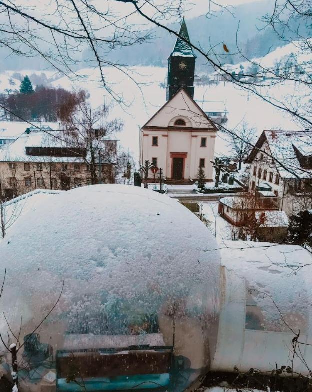 Living Timeless- Bubble Tent Elzach Inklusive Hot Tube Badefass- Schlafen Unterm Sternenhimmel Kültér fotó